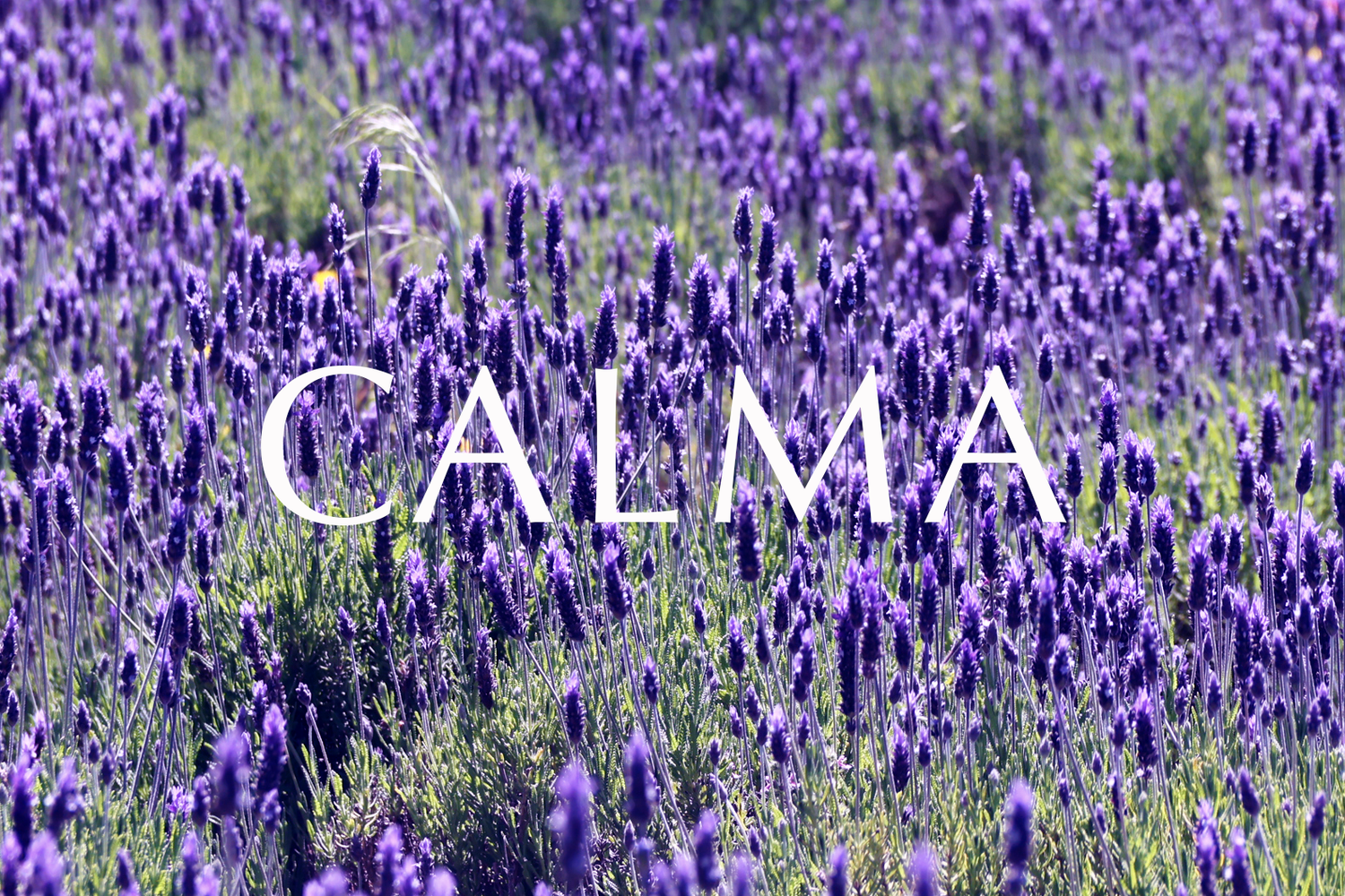 Calma