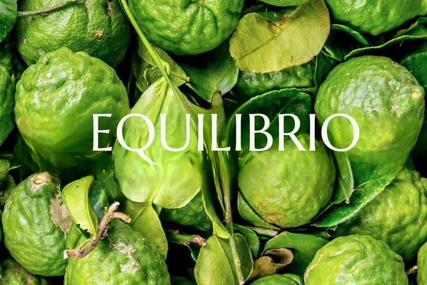 Equilibrio
