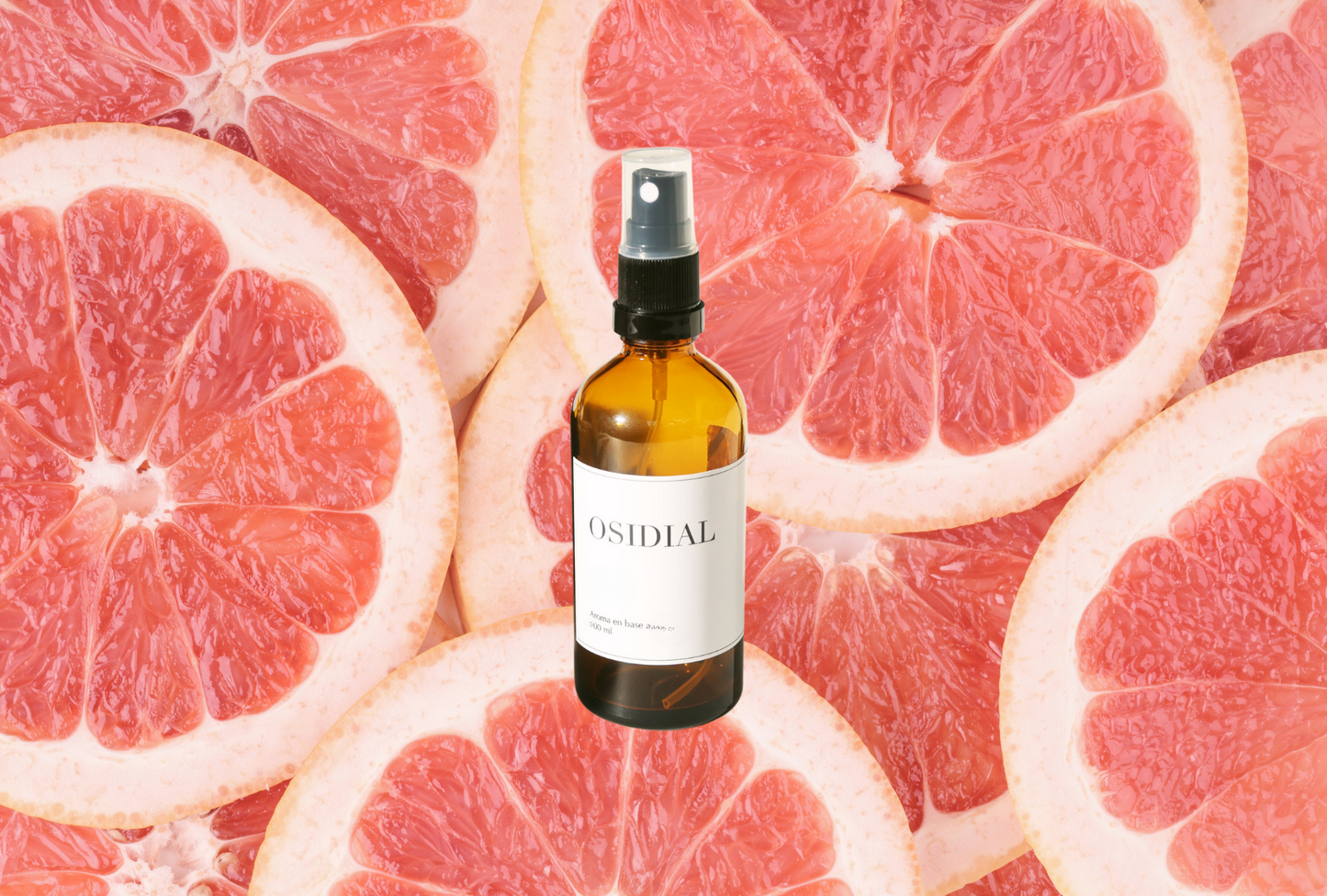 Alegría Difusor Spray 100 ml