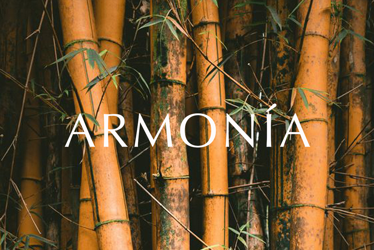 Armonía Varillas 150 ml