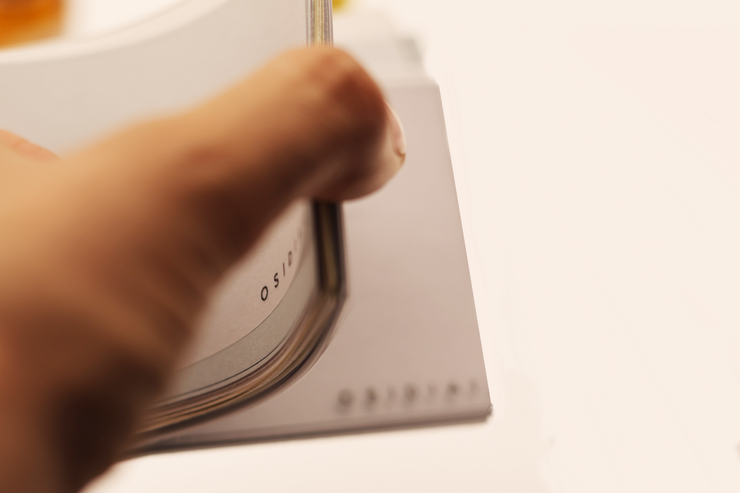 Ritual año nuevo ¡Bienvenido 2026!