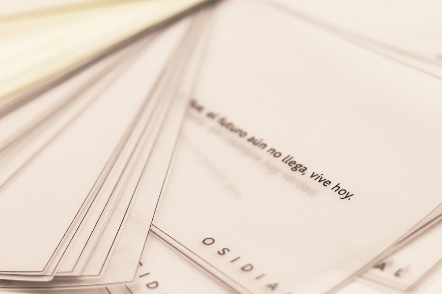 Ritual año nuevo ¡Bienvenido 2026!