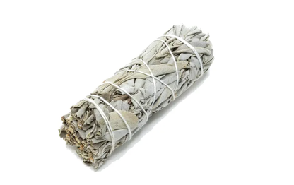 Salvia Blanca